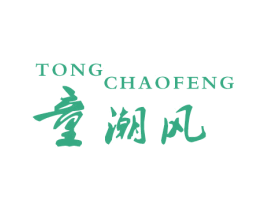 童潮风 第28类体育玩具商标图样