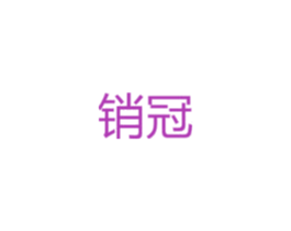 销冠 第12类运输工具商标图样