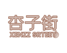 杏子街 XENZZ SRTEET 第42类技术服务商标图样
