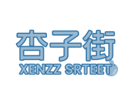 杏子街  XENZZ SRTEET 第9类科学仪器商标图样
