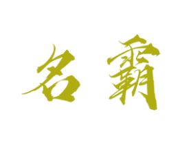 名霸 第17类橡胶制品商标图样