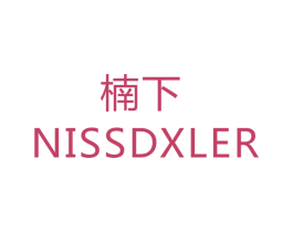 楠下 NISSDXLER 第12类运输工具商标图样