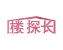 楼探长 第36类金融物管商标图样