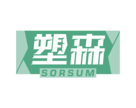 塑森 SORSUM 第41类教育娱乐商标图样