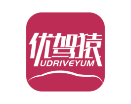 优驾猿 UDRIVEYUM 第9类科学仪器商标图样