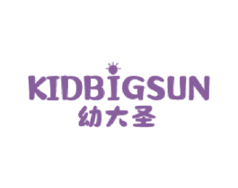 KIDBIGSUN 幼大圣 第9类科学仪器商标图样
