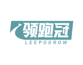 领跑冠 LEEPOGROW 第9类科学仪器商标图样
