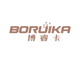 博睿卡 第9类科学仪器商标图样