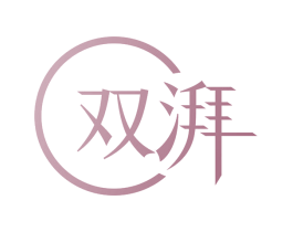 双湃 第17类橡胶制品商标图样