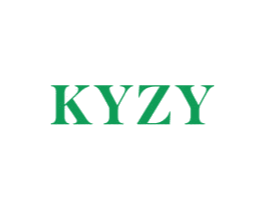 KYZY 第10类医疗器械商标图样