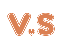 VS 第25类服装鞋帽商标图样