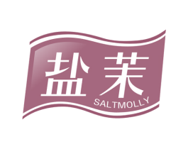 盐茉 SALTMOLLY 第3类化妆品商标图样