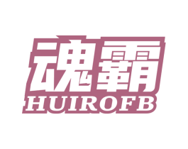 魂霸 HUIROFB 第9类科学仪器商标图样