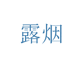露烟 第25类服装鞋帽商标图样
