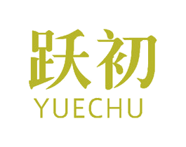 跃初 第27类地毯席垫商标图样