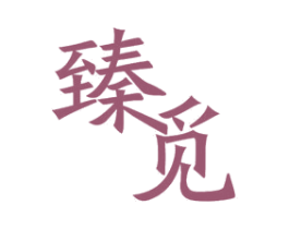 臻觅 第11类家用电器商标图样