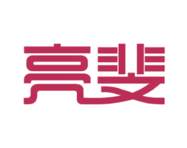 亮斐 第11类家用电器商标图样