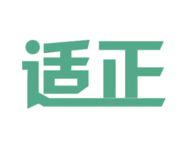 适正 第12类运输工具商标图样