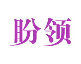 盼领 第11类家用电器商标图样