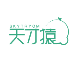 SKYTRYOM 天才猿 第42类技术服务商标图样