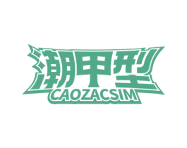 潮甲型 CAOZACSIM 第9类科学仪器商标图样