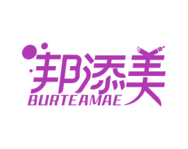邦添美 BURTEAMAE 第2类颜料油漆商标图样