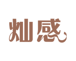 灿感 第11类家用电器商标图样
