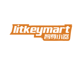 智尊小器 LITKEYMART 第12类运输工具商标图样