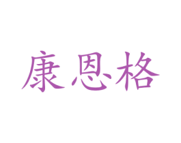 康恩格 第9类科学仪器商标图样