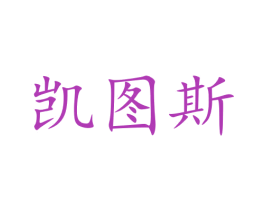 凯图斯 第16类办公工具商标图样