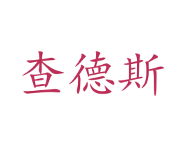 查德斯 第42类技术服务商标图样