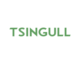TSINGULL 第28类体育玩具商标图样