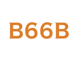 B66B 第25类服装鞋帽商标图样