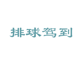 排球驾到 第41类教育娱乐商标图样