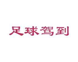 足球驾到 第41类教育娱乐商标图样