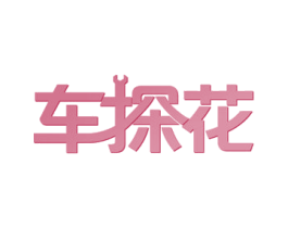 车探花 第37类建筑修理商标图样