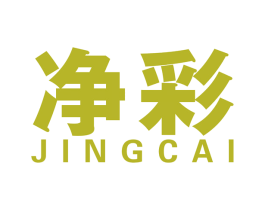 净彩 第27类地毯席垫商标图样