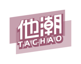 他潮 第18类皮革箱包商标图样