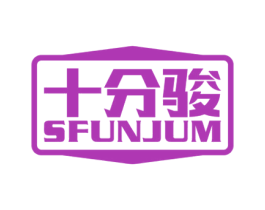 十分骏 SFUNJUM 第12类运输工具商标图样