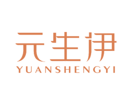 元生伊 第27类地毯席垫商标图样