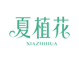 夏植花 第26类花边配饰商标图样