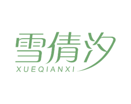 雪倩汐 第27类地毯席垫商标图样