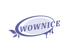 WOWNICE 第43类餐饮酒店商标图样