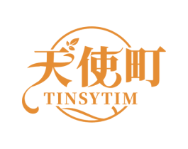 天使町 TINSYTIM 第25类服装鞋帽商标图样