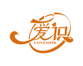 爱识 LOVESHIR 第9类科学仪器商标图样