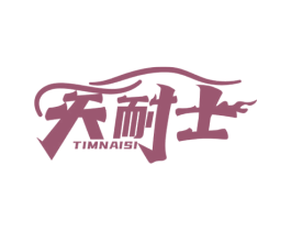 天耐士 TIMNAISI 第6类五金金属商标图样