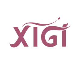 XIGI 第3类化妆品商标图样