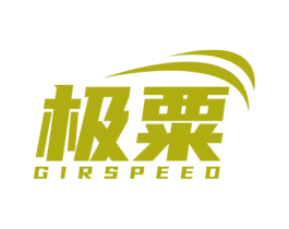极粟 GIRSPEED 第9类科学仪器商标图样