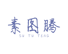 素图腾 第25类服装鞋帽商标图样