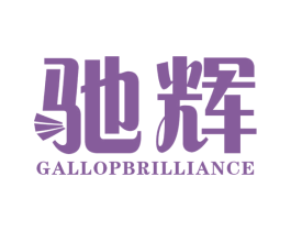 驰辉  GALLOPBRILLIANCE 第41类教育娱乐商标图样